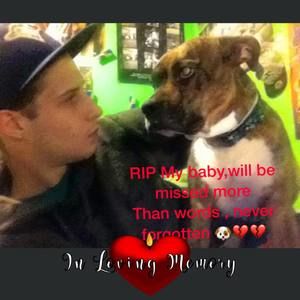 Meet your Posher, Tyler